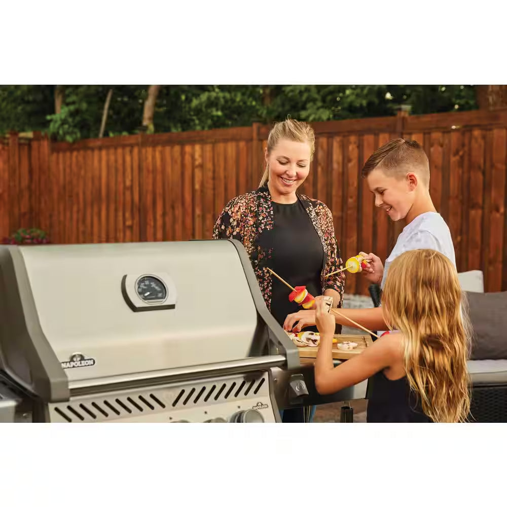 Rogue 3-Burner Natural Gas Grill with Infrared Rear and Side Burners in Stainless Steel