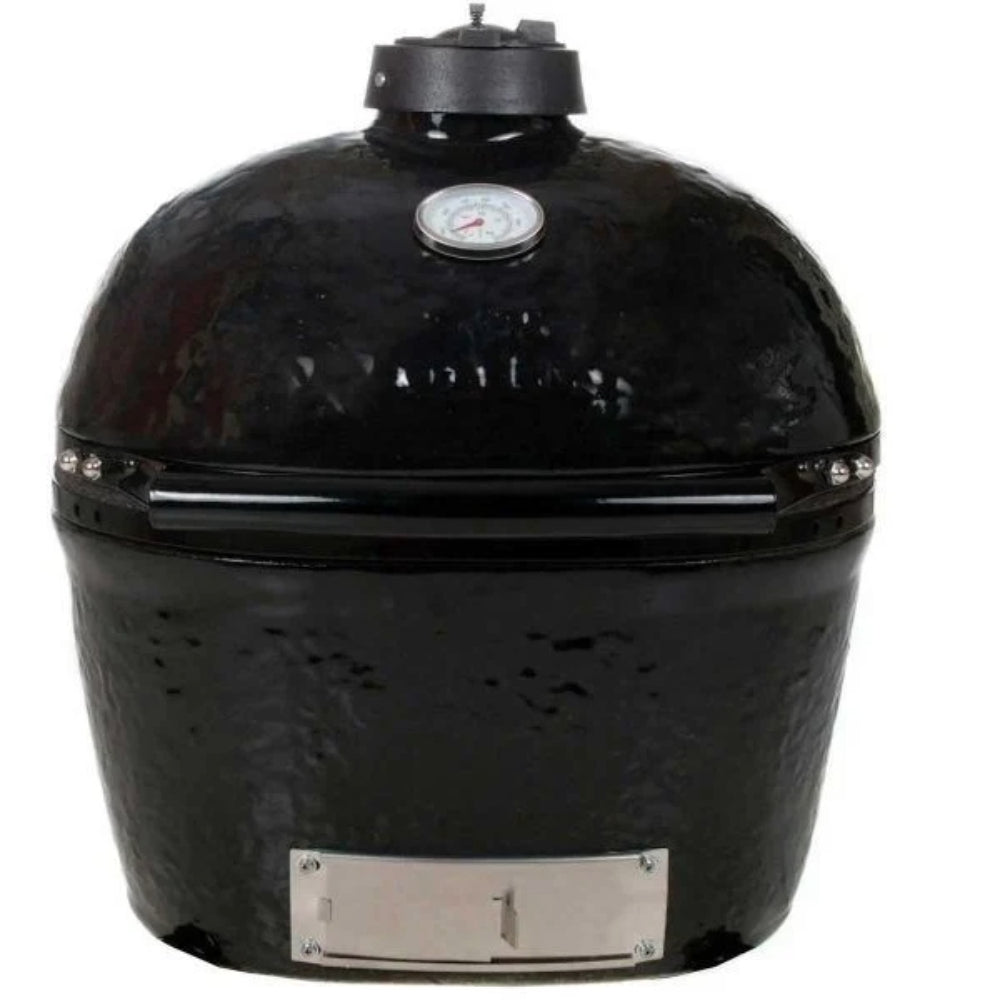 Primo Oval Junior Charcoal Kamado Grill Head