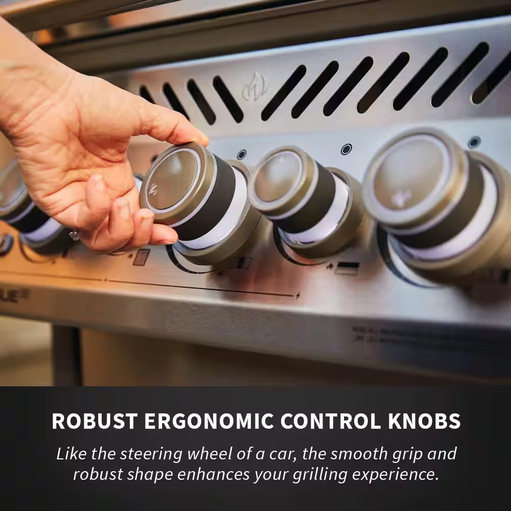 Rogue 3-Burner Natural Gas Grill with Infrared Rear and Side Burners in Stainless Steel