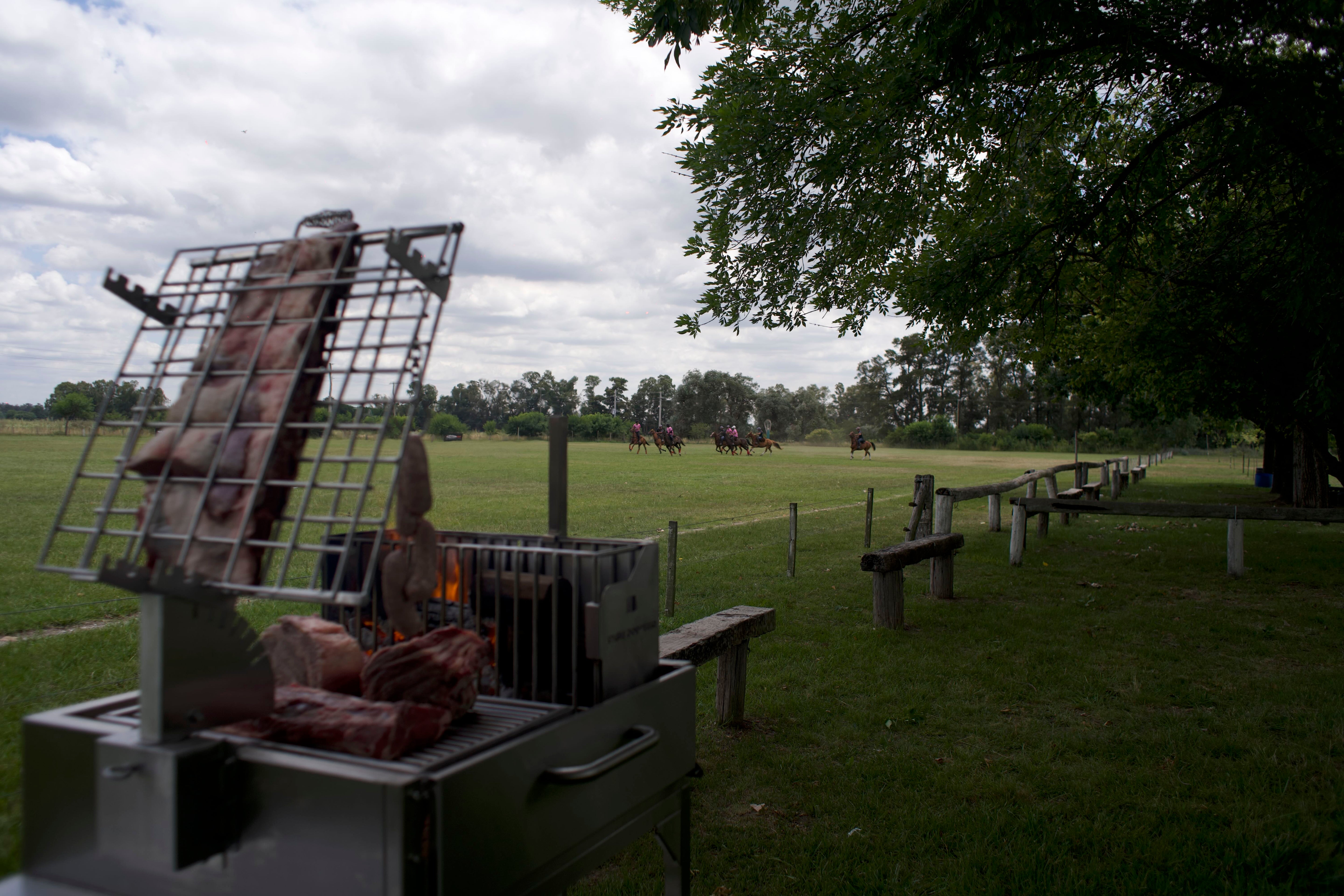 Tagwood BBQ33SS Argentine Clamp Grill with Firebox – 304 Stainless Steel